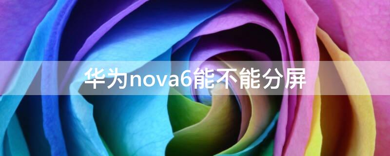 华为nova6能不能分屏（华为nova6支持分屏吗）