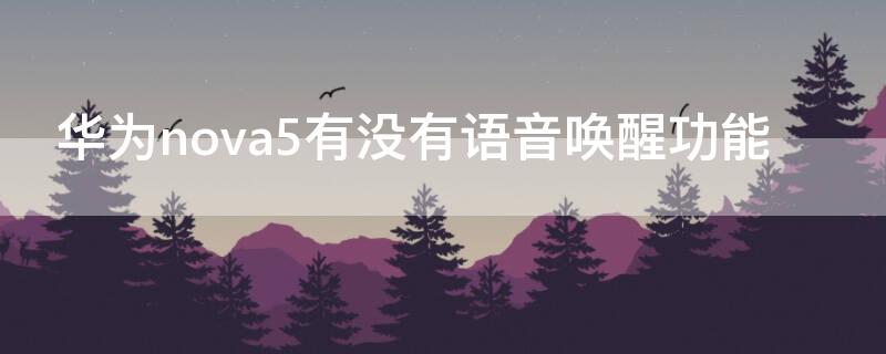 华为nova5有没有语音唤醒功能 华为nova5语音助手可以语音唤醒吗