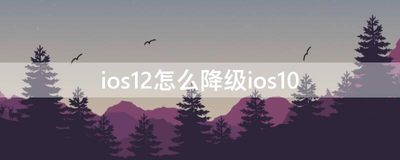 ios12怎么降级ios10（ios12怎么降级到ios10）