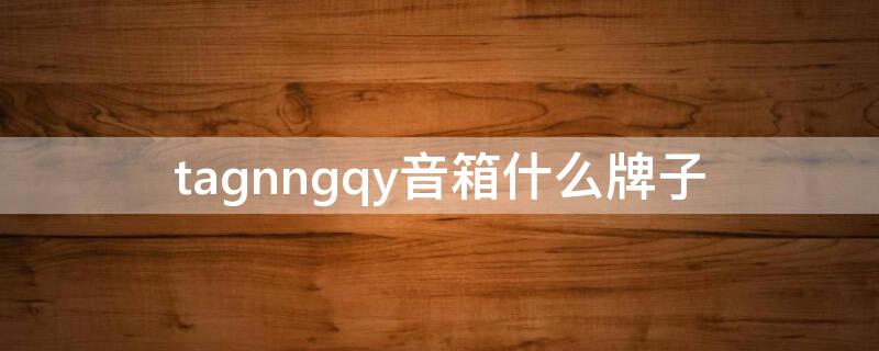 tagnngqy音箱什么牌子（tagnngqy什么牌子音响）