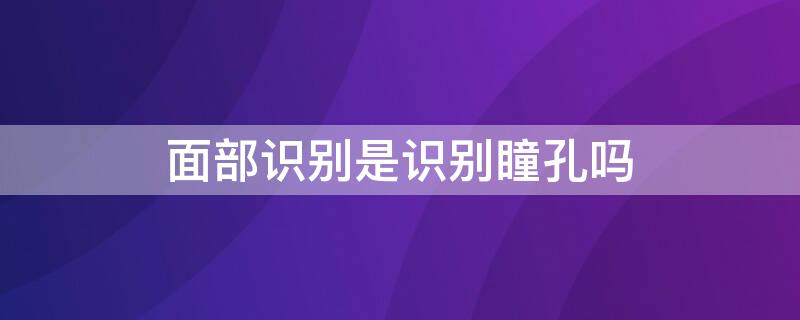 面部识别是识别瞳孔吗（瞳孔识别和人脸识别哪个准）