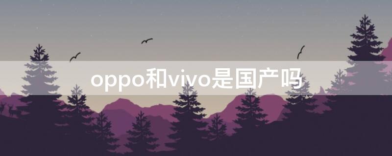 oppo和vivo是国产吗（oppo和vivo是不是国产）