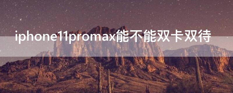 iPhone11promax能不能双卡双待 iphone12promax可以双卡双待吗