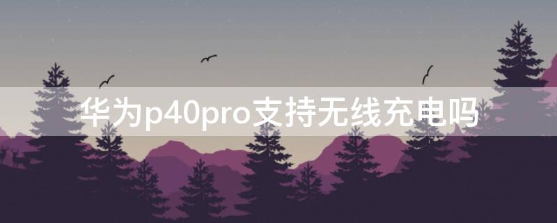 华为P40支持无线充电吗（华为p40支持无线充电吗怎么设置）