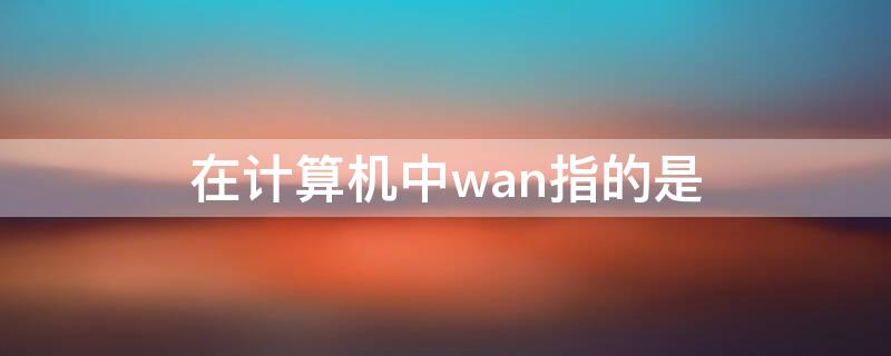 在计算机中wan指的是 在计算机网络术语中WAN表示什么