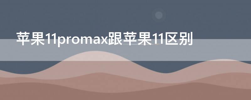 iPhone11promax跟iPhone11区别（iphone11max与iphone11pro区别）