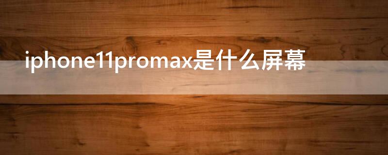 iPhone11promax是什么屏幕（iphone11promax的屏幕）