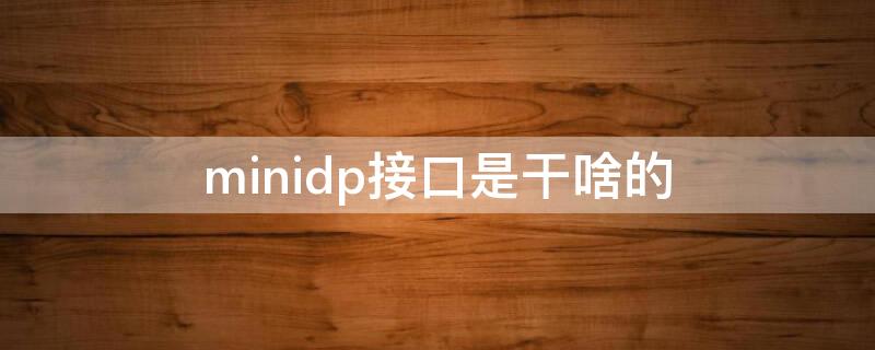 minidp接口是干啥的 minidp接口是干什么的