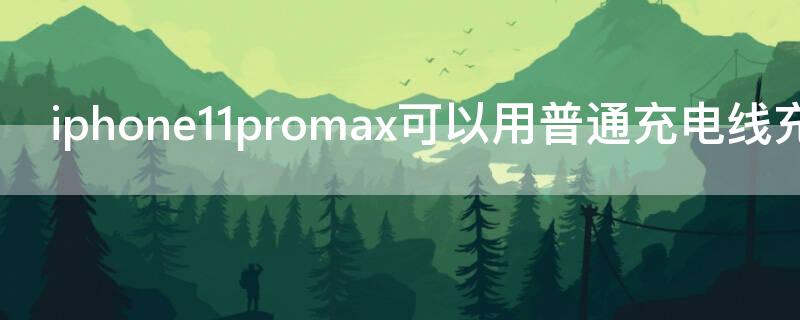 iPhone11promax可以用普通充电线充电吗 iphone12promax可以用以前的充电线吗