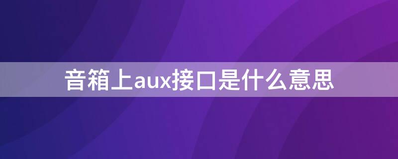 音箱上aux接口是什么意思 音响上面的aux接口是什么口