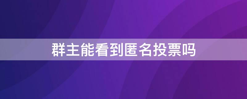 群主能看到匿名投票吗 群主可以看到匿名投票吗