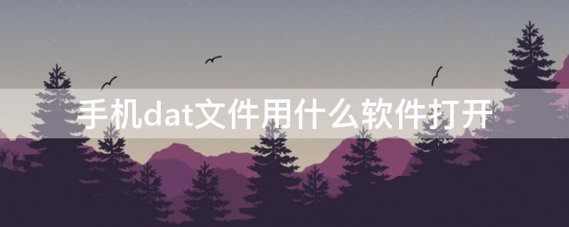 手机dat文件用什么软件打开（手机上dat文件用什么软件打开）