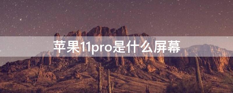 iPhone11pro是什么屏幕 iPhone12Pro是什么屏幕