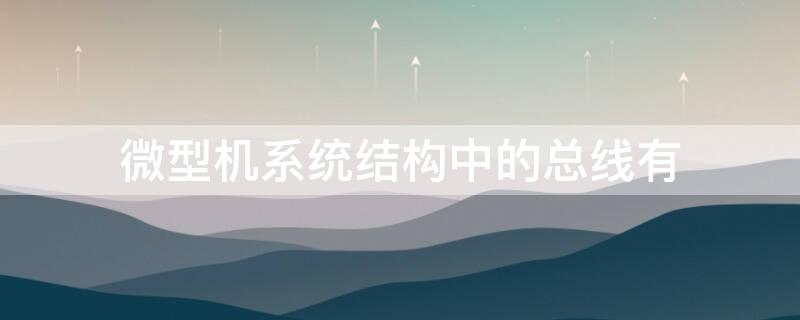 微型机系统结构中的总线有（目前微型机系统的硬件采用总线结构）
