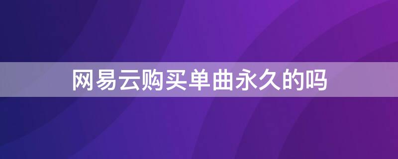 网易云购买单曲永久的吗（网易云可以买单曲吗）