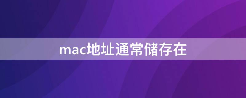 mac地址通常储存在 MAC地址表里存储的是什么内容?