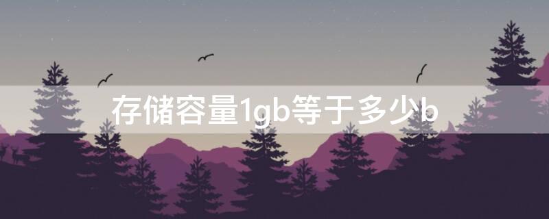 存储容量1gb等于多少b（存储容量1GB等于多少字节）