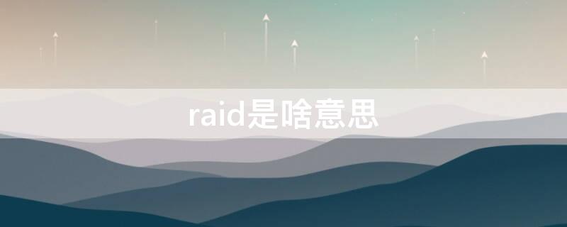 raid是啥意思 raid的意思是什么