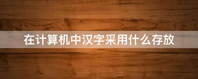 在计算机中汉字采用什么存放 计算机内存放的汉字是