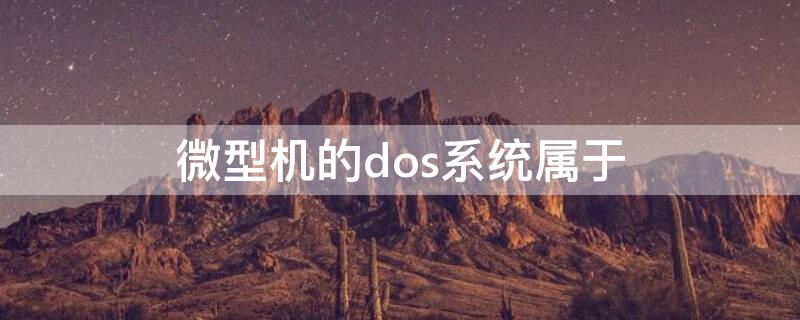 微型机的dos系统属于（微型机的dos系统属于( 操作系统）