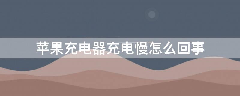 iPhone充电器充电慢怎么回事（iphone充电器充电慢是什么原因）