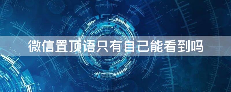 微信置顶语只有自己能看到吗（微信置顶语谁能看见）