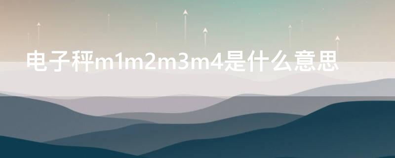 电子秤m1m2m3m4是什么意思（电子秤m1m2m3是啥意思）