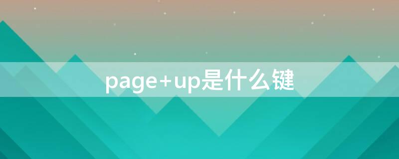 page（page是什么意思）