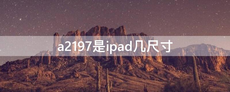 a2197是ipad几尺寸（ipad7 a2197多大尺寸）