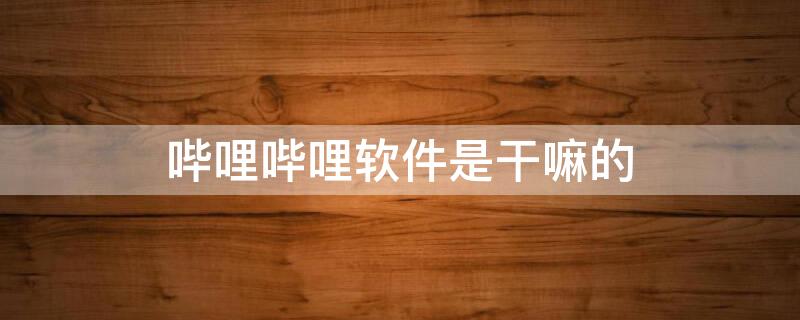 哔哩哔哩软件是干嘛的