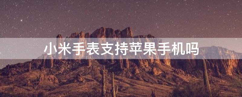 小米手表支持iPhone手机吗