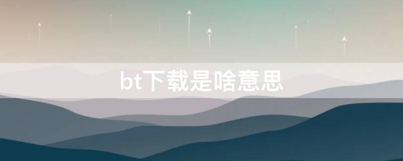 bt下载是啥意思