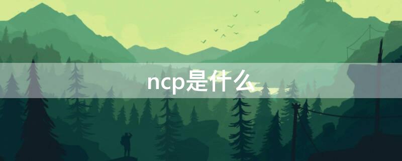 ncp是什么 NCP是什么病