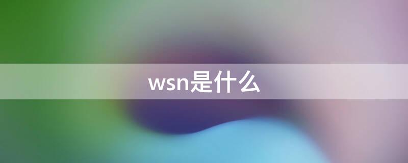 wsn是什么（wsn是什么梗）