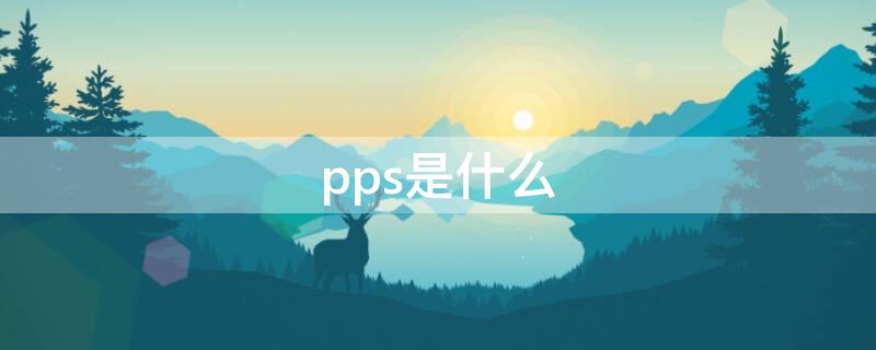 pps是什么（pps是什么格式）