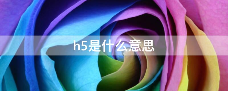 h5是什么意思 h5是啥