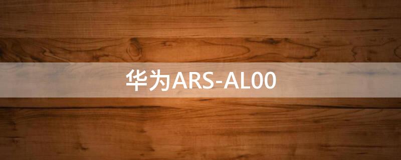 华为ARS-AL00 华为ars-al00怎么分屏