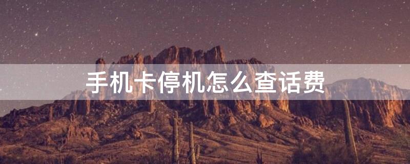 手机卡停机怎么查话费（手机卡停机怎么查话费明细）