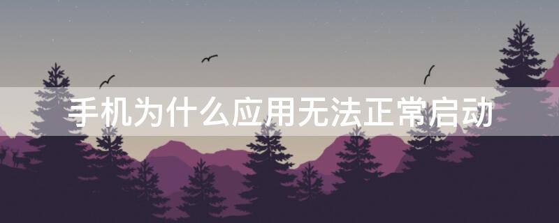 手机为什么应用无法正常启动（手机应用程序无法正常启动）