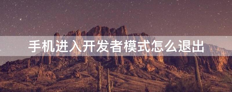 手机进入开发者模式怎么退出（手机进入开发者模式怎么退出去）