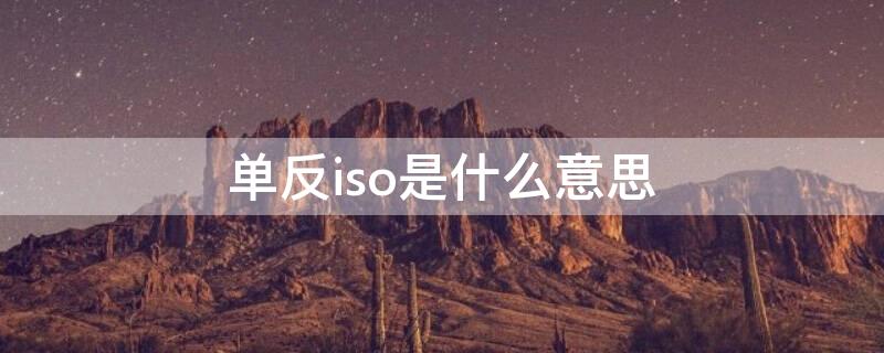 单反iso是什么意思（单反iso是什么意思啊）