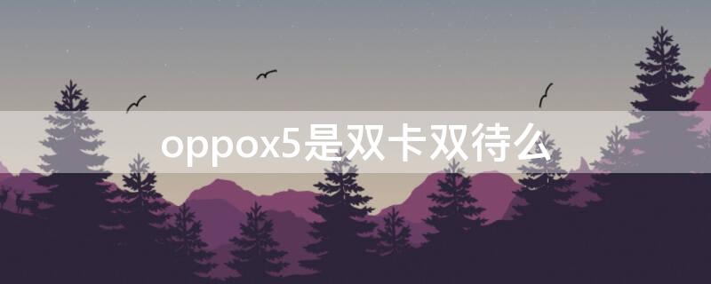 oppox5是双卡双待么（oppofindx2lite是双卡双待吗）