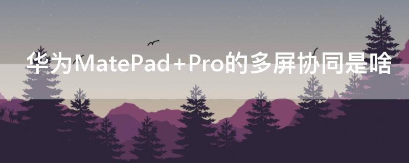 灵耀X的多屏协同是啥 灵耀x2duo和灵耀x双屏