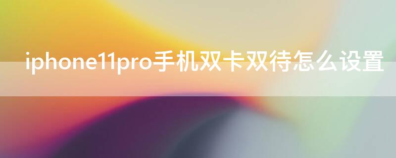 iPhone11pro手机双卡双待怎么设置 iphone11怎样设置双卡双待