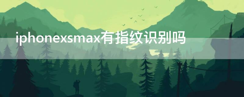 iPhonexsmax有指纹识别吗（苹果xsmax有指纹识别吗）