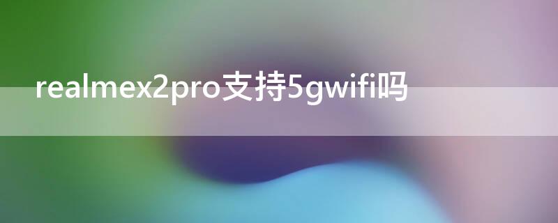 realmex2pro支持5gwifi吗（realmex50pro支持双卡5g吗）