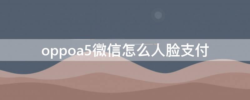 oppoa5微信怎么人脸支付（oppoa5微信人脸支付找不到）