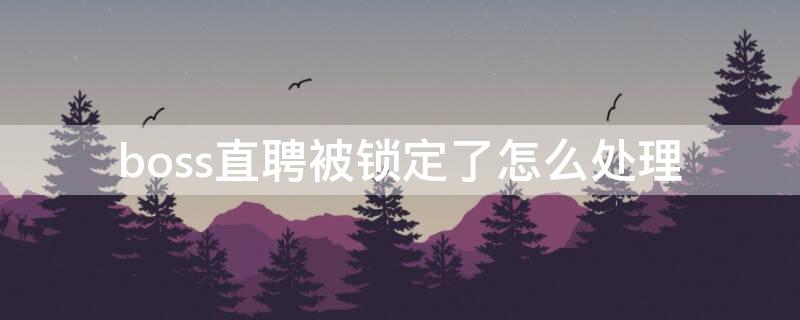 boss直聘被锁定了怎么处理（boss直聘无缘无故被锁定）