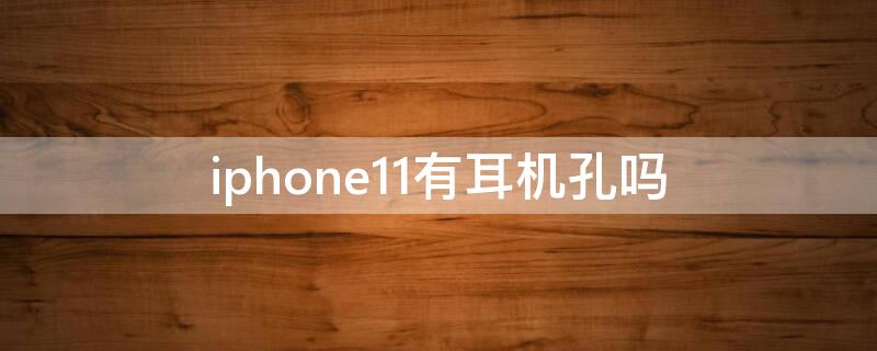 iPhone11有耳机孔吗（苹果11手机有耳机孔吗）