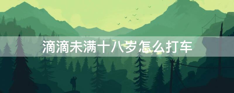 滴滴未满十八岁怎么打车 未满十八周岁可以滴滴打车吗
